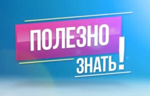 Чем можно заразиться от милой мышки: топ самых распространенных зоонозов.