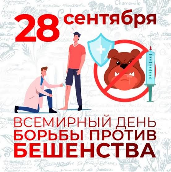 день против бешенства